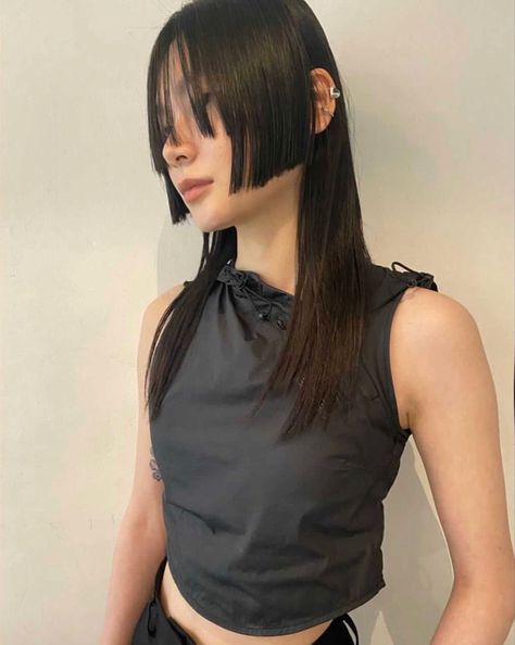 sleek hair straight hair hime bangs brick bangs block bangs haircuts for medium length Sleek Hair Straight, Haircut No Bangs, Hime Bangs, Hime Cut, No Bangs, Sleek Hair, Joan Jett, Hair Straight, Jane Fonda