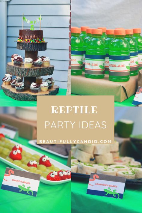 Reptile Birthday Party-Party Decor, Food Ideas Snake Party Food Ideas, Reptile Birthday Party Food Ideas, Reptile Theme Party Food, Lizard Themed Snacks, Lizard Birthday Party Decoration, Lizard Birthday Party Ideas, Reptile Party Snacks, Reptile Snacks For Kids, Salamander Birthday Party