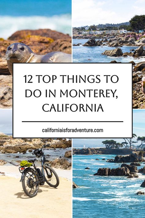 Plan your Monterey getaway with a diverse list of things to do in Monterey, from exploring the coast to savoring local cuisine. Monterey California Aesthetic, Things To Do In Monterey California, What To Do In Monterey Ca, Best Restaurants In Monterey Ca, Monterey Restaurants, Downtown Monterey California, Monterey Bay California, Morro Bay California, California Christmas