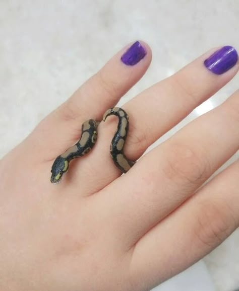 Cute Snake Clay Ring, Cute Clay Snakes, Polymer Clay Snake Ring, Clay Snake Jewelry, Clay Art Snake, Clay Cobra Snake, Snake Crafts, Crazy Earrings, Pottery Ring