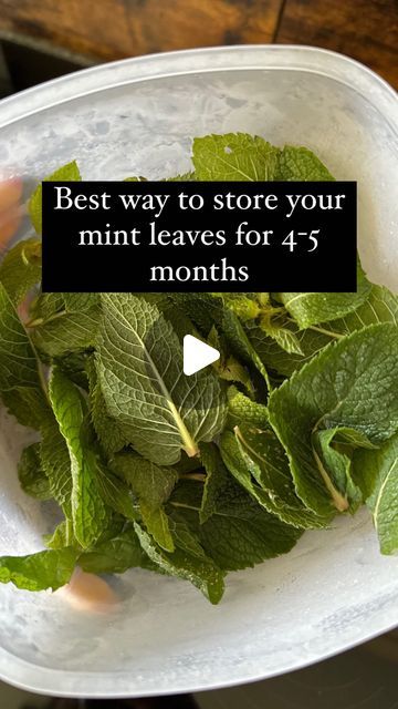 Suman Ranganath | Lifestyle | Frankfurt 🇩🇪 on Instagram: "Let’s store mint the right way!✨
.
.
.
.
.
.
.
.
.
.
.
.
.
.
.
.
.
.
#mint #hacks #kitchenhacks #herbstoring #freezer #lifehacks #life #lifeingermany🇩🇪 #international #cooking #cookinghacks 

[ mint, frozen mint, mint storing hacks, kitchen hacks, life hacks, storage, storing herbs the right way, cooking, cooking hacks ]" How To Preserve Mint Leaves Fresh Herbs, Storing Mint Leaves, Freezing Mint Leaves, Storing Herbs, Hacks Kitchen, Cooking Hacks, Kitchen Tips, Mint Leaves, Kitchen Hacks