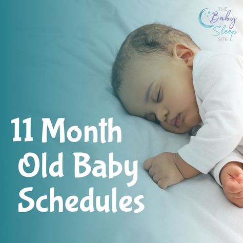 11 Month Old Baby Feeding and Sleep Schedule 11 Month Old Schedule, 11 Month Old Baby, Formula Feeding, Baby Schedule, Baby Nap, Sleep Consultant, Toddler Sleep, Sleep Schedule, Baby Feeding