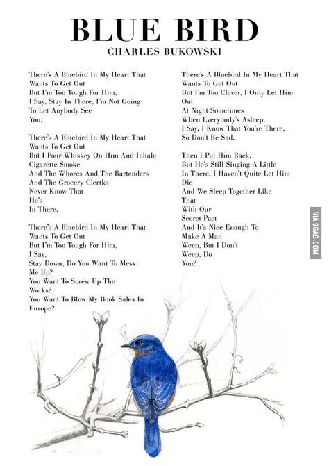 Charles Bukowski Blue Bird Bluebird Charles Bukowski Poem, Bluebird Poem Bukowski, Bluebird By Charles Bukowski, Blue Feelings Aesthetic, Blue Bird Quotes, Bukowski Quotes Poetry, Blue Bird Charles Bukowski, Bluebird Bukowski, Bluebird Charles Bukowski