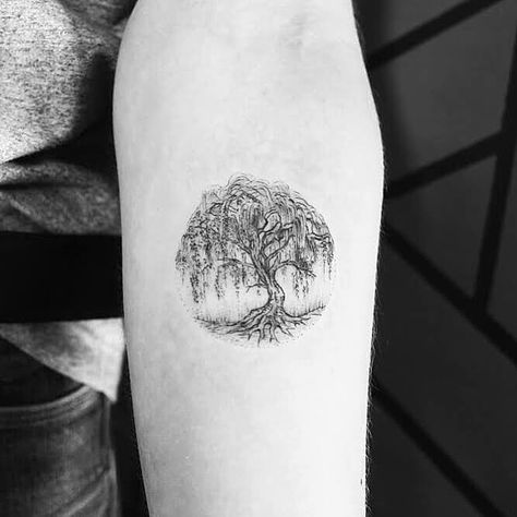 Tree Tatoos, Ww Tattoo, Tooth Tattoos, Celtic Turtle, Pa Tattoo, Weeping Willow Tattoo, Birch Tree Tattoos, Tree Tattoo Meaning, Tree Tattoo Forearm