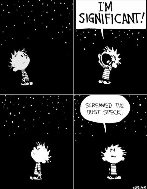 Calvin And Hobbes Quotes, Calvin And Hobbes Comics, Bd Comics, Calvin And Hobbes, Fun Comics, Someecards, Comic Strip, Universe, Snoopy