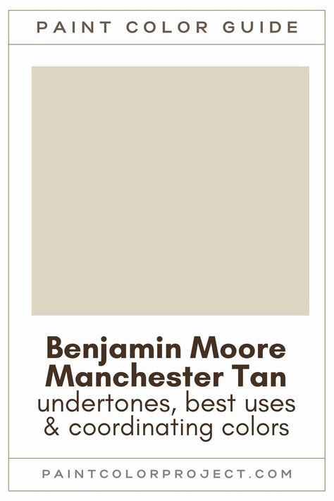 Looking for the perfect beige paint color for your home? Let’s talk about Benjamin Moore Manchester Tan and see if it might be right for your home! Exterior Paint Colors For House Sherwin Williams Accessible Beige, Assessable Beige Sherwin Williams Coordinating Colors, Accessible Beige Exterior Trim, Paint Colors That Go With Accessible Beige, Trim Color For Accessible Beige, Accessible Beige Sherwin Williams Coordinating Colors, Accessible Beige And Green, Wherein Williams Accessible Beige, Natural Cream Vs Accessible Beige