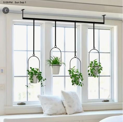 Bay Window Plant Display, Bay Window Plants, Colonial House Remodel, Slide Out Storage, Window Ceiling, Herb Garden Wall, Garden Railings, Atrium Design, Pan Kitchen