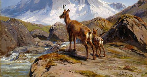 Wildlife Art - National Museum of Wildlife Art | Jackson Hole WY Jackson Hole Wy, Sport Art, Animal Painting, Clear Blue Sky, Borders For Paper, Wildlife Animals, Jackson Hole, Mother And Baby, Wildlife Art