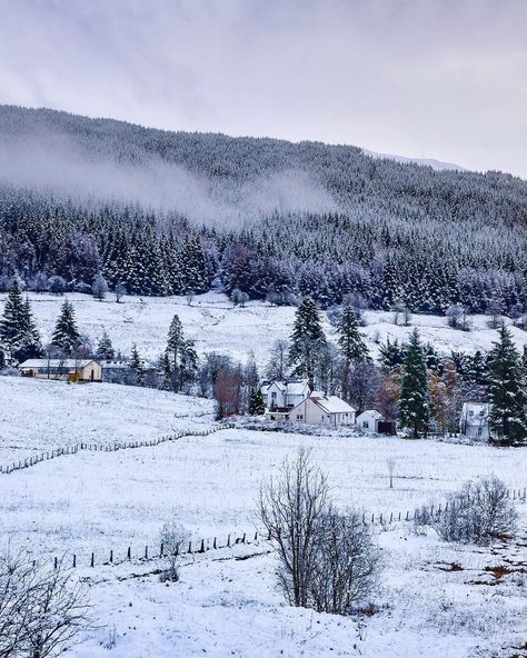 Shirin on Instagram: “Winter wonderland at Scotland!! A82 ...most scenic Scotland road. Wish everyone Merry Christmas!! 🎄🎅🏻 🎄❤️ . . #visitscotland #ig_scotland…” Christmas Scotland, Scotland Christmas, Scotland Winter, Travel Scotland, Picture Inspiration, Visit Scotland, Landscape Photography Nature, Paper Scissors, Scotland Travel