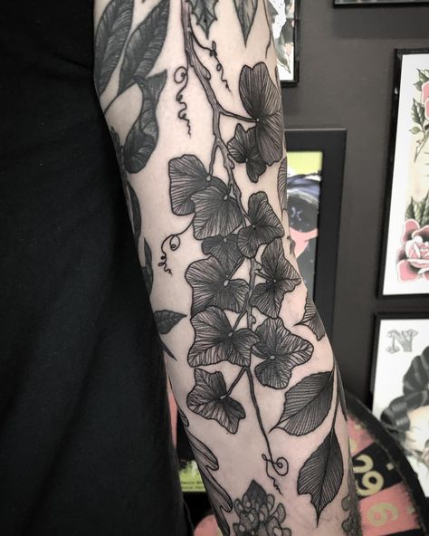 English Ivy Tattoo Arm, Ivy With Flowers Tattoo, Ivy Tattoo Black And White, Black Ivy Tattoo, Ivy Hip Tattoo, Poison Ivy Plant Tattoo, Pretty Bat Tattoo, Ivy Tattoo Sleeve, Black Plant Tattoo