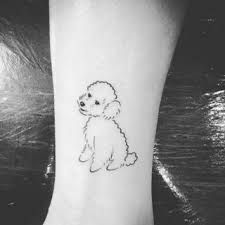 The 14 Best Poodle Dog Tattoo Ideas Bichon Frise Tattoo Ideas, Bishon Dogs Tattoo, Puddle Tattoo Dog, Coton De Tulear Tattoo, Miniature Poodle Tattoo, Puddle Tattoo, Bichon Frise Tattoo, Toy Poodle Tattoo, Poodle Tattoo Ideas