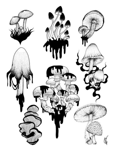 Sketching References, Mushroom Tattoos, Mushroom Drawing, Drawing Tattoo, Tattoo Flash Art, Ink Drawings, Arte Sketchbook, Mushroom Art, Flash Art