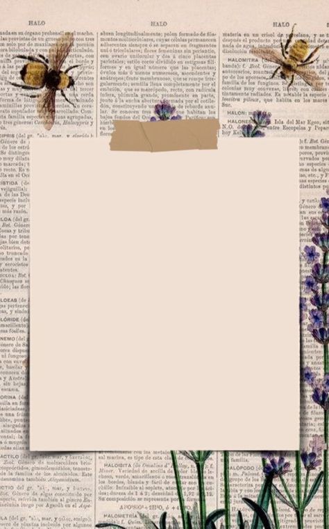 Wallpaper Estetika, Bond Paper Design, Vintage Paper Background, Note Writing Paper, Paper Background Design, Power Points, Powerpoint Background Design, Photo Frame Design, Instagram Frame Template