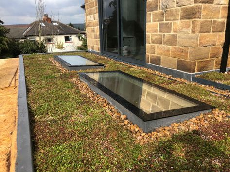 Another great roof this time with skylights - Green Roofs Naturally | Otley Flat Roof Skylights, Living Green Roof, Green Roof Design, Extension Veranda, Green Roof Garden, Green Roof House, Green Roof Building, Sedum Roof, Flat Roof Extension