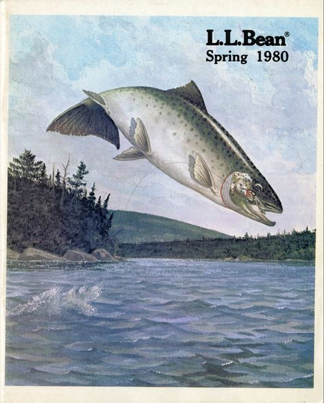 Vintage Ads Aesthetic, Vintage Ll Bean Catalog, Llbean Aesthetic, Ll Bean Aesthetic, Vintage Country Aesthetic, Ll Bean Catalog, Advertising Aesthetic, Fishing Posters, Fizzy Water