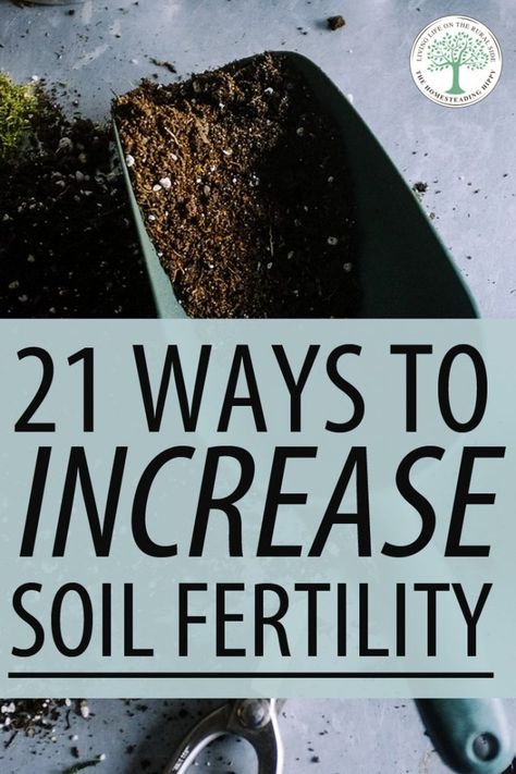 Soil fertility will make or break your garden - there's no doubt about it. We found over 20 ways to improve your soil if isn't as nutrient-rich as it should be. #gardening #homesteading #soil How To Make Soil Fertile, Ponds Ideas, Gardening Knowledge, Soil Science, Survival Prep, Soil Amendments, Homesteading Tips, Lasagna Gardening, Green Backyard