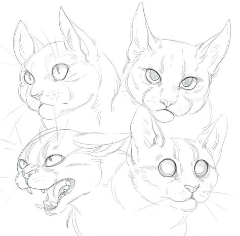 Cat Doodles, Cat Drawing Tutorial, Cat Anatomy, Cat Doodle, Cat Sketch, 강아지 그림, Drawing Faces, Arte Sketchbook, Cat Eyes