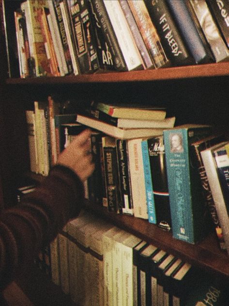 Terrence Loves You, Nerd Aesthetic, Chaotic Academia, Library Aesthetic, Little Library, The Secret History, Book Shelf, I Love Books, The Library