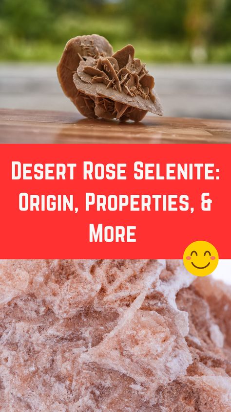 Desert Rose Selenite: Origin, Properties, & More (Complete Guide) Desert Rose Selenite, Mexico Desert, Desert Rose, Spirituality, Roses, Crystals, The Originals, Mexico