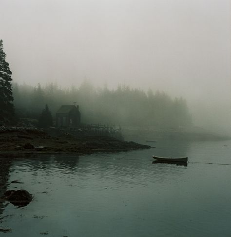 Image of MUSSEL PLACE LOW TIDE Between Two Worlds, The Great Outdoors, Mother Nature, Places To Go, Beautiful Places, Floating, Favorite Places, Trees, Lake