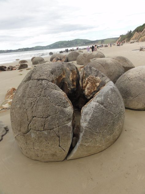 Moeraki Boulders, Ancient Discoveries, Dragon Eggs, Standing Stones, Ancient Animals, Standing Stone, Ancient Forest, Dream Places, The Natural World