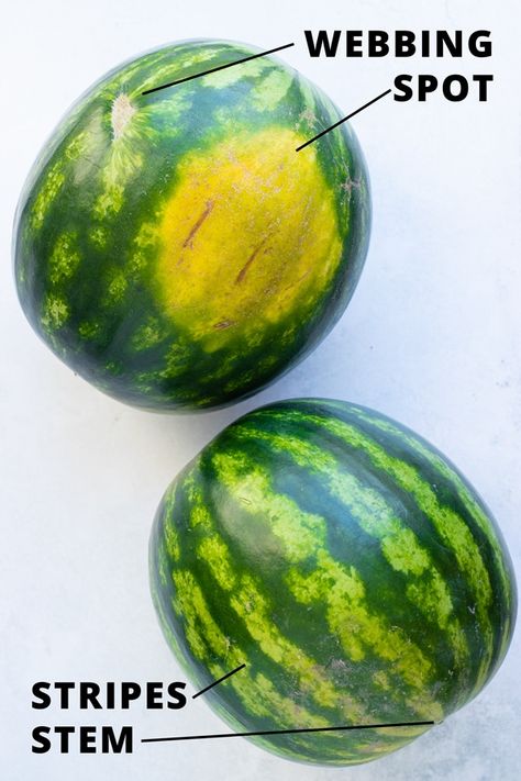 How To Choose Watermelon, Picking Watermelon, Lunch Snacks For Kids, Pick A Watermelon, Watermelon Facts, Pickled Watermelon Rind Recipe, Snacks For Teens, Watermelon Sticks, Yellow Watermelon