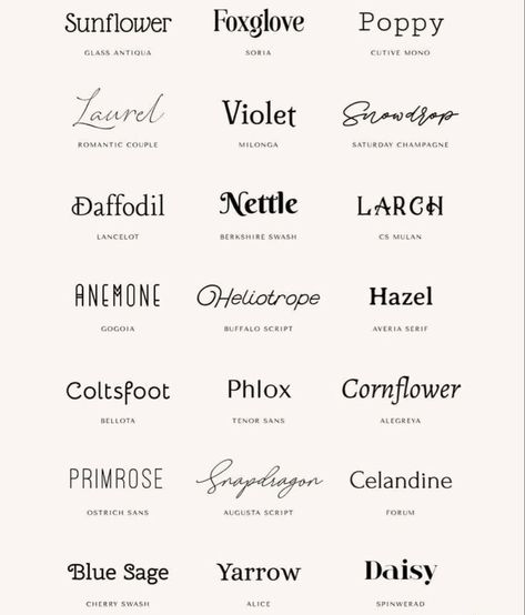 Delicate Tattoo Fonts, Tattoo Font Ideas, Simple Tattoo Fonts, Tattoo Writing Fonts, Tattoo Word Fonts, Tattoo Font Styles, Best Tattoo Fonts, Tattoo Name Fonts, Tattoo Font For Men