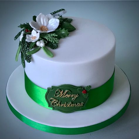 Green Christmas Cake, Xmas Cake Decorating, White And Green Christmas, Xmas Cakes, Christmas Cakes Easy, Christmas Themed Cake, Cloud Cake, Christmas Baking Recipes, Christmas Cake Designs