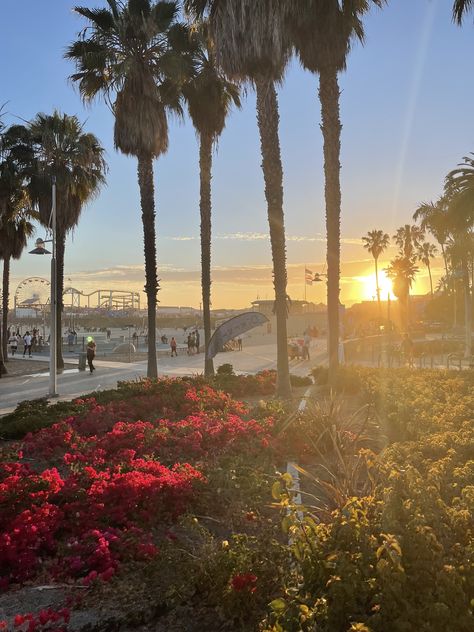 Sunset pic taken at Santa Monica Santa Monica Sunset, Sunset Pic, Santa Monica Mountains, Santa Monica California, Mountain Range, Phone Wallpapers, Santa Monica, Beverly Hills, Cali