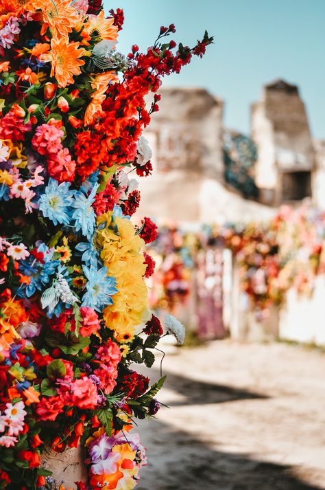 multicolored flower close-up photography photo – Free Plant Image on Unsplash Cool Wallpapers For Computer, Feminine Wallpaper, Flower Close Up, Hd Nature Wallpapers, One Flower, Shadow Photos, New Background Images, Close Up Photography, Unique Wallpaper