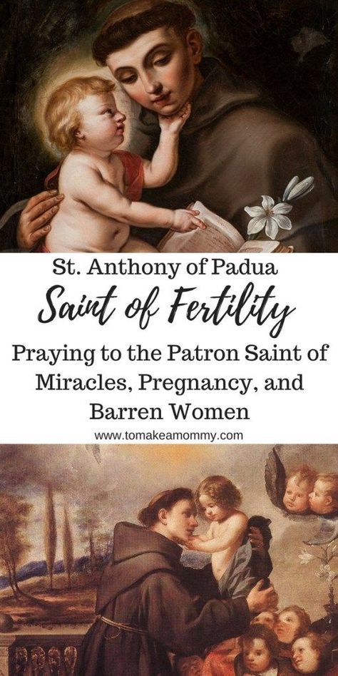 Praying with Saint Anthony of Padua, Patron Saint of Miracles, Lost Things, Barren Women, Pregnancy, Infertility, Fertility, and Trying to Conceive #fertility #infertility #catholicsaint #prayer #ttc Tips For Getting Pregnant, Fertility Prayer, Barren Woman, Pregnancy Prayer, St Anthony Of Padua, Pregnancy Affirmations, Anthony Of Padua, Lost Things, Saint Anthony Of Padua