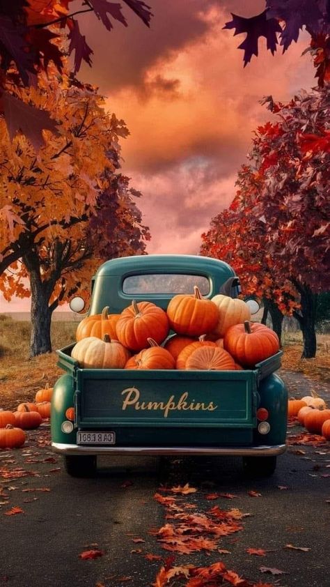 Summer To Fall Background, Autumn Aesthetic Cozy Wallpaper, Fall Phone Widget Aesthetic, Halloween Wallpaper Backgrounds Vintage, Vintage Autumn Wallpaper, Fall Truck Wallpaper, Colorful Halloween Wallpaper, Vintage Fall Backgrounds Iphone, Fall Phone Backgrounds Wallpapers