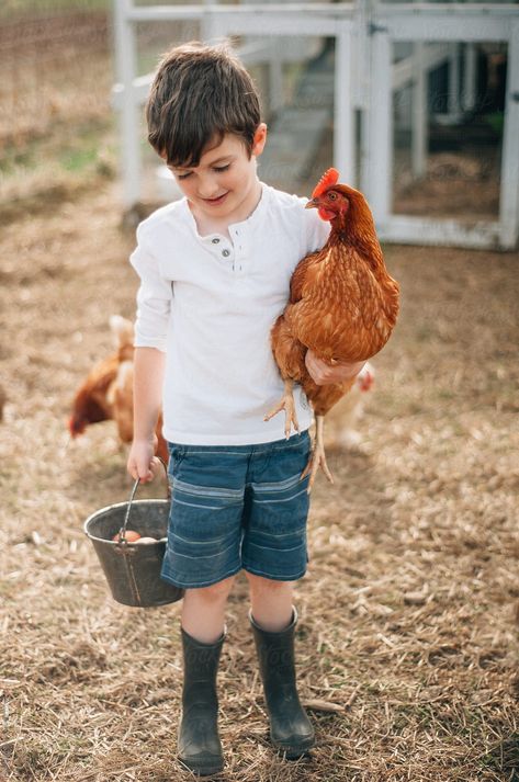 Chicken Coop Interior, Chicken Coop Decorations, Coop Interior, Chicken Coop Build, Collecting Eggs, Create A Cozy Home, Best Chicken Coop, Farm Kids, Diy Chicken