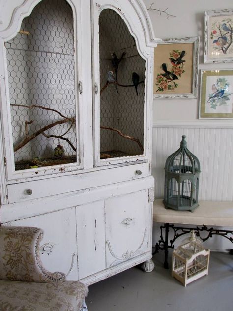 Old armoire has been repurposed as a bird cage. Aviary Ideas, Pet Enclosures, Diy Bird Cage, Pet Bird Cage, Furniture Redos, Antique Armoire, Furniture Repurpose, Pet Projects, Furniture Flip