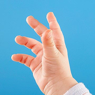 Sign Language Family, Teaching Baby Sign Language, Sign Language For Toddlers, Sign Language Basics, Sign Language Phrases, Teaching Babies, British Sign Language, Smart Baby, Baby Sign Language