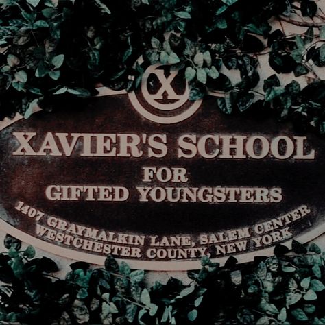 Xavier Institute Aesthetic, Xmen Mutant Aesthetic, Krakoa Marvel Aesthetic, Marvel Characters Aesthetic, Dc Universe Aesthetic, Xmen First Class Aesthetic, Mutant Aesthetic Marvel, X Men Oc Mutant, Rogue Aesthetic Xmen