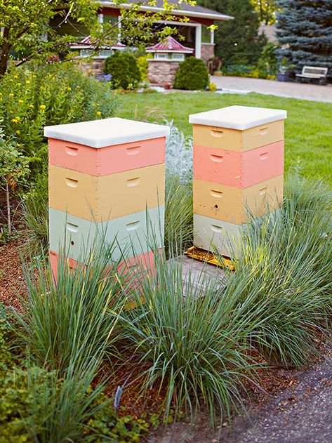 Tour an Eco-Friendly Landscape Painted Bee Hives, Bee Hives Boxes, Portable Garden, Sustainable Gardening, Backyard Beekeeping, Vegetable Bed, Creeping Jenny, Bee Boxes, Bee Hives