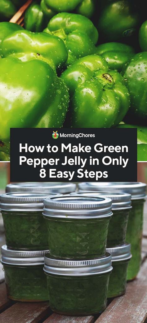 Green Pepper Jelly Recipe Canning, Canning Green Peppers, Green Pepper Jelly Recipe, Jalapeños Recipes, Freezing Green Peppers, Green Pepper Casserole, Green Pepper Steak, Green Pepper Jelly, Yummy Easy Snacks