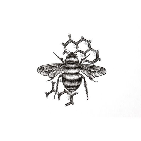 Bee Behind The Ear Tattoo, Bee Tattoo With Honeycomb, Bee With Honeycomb Tattoo, Bumble Bee Tattoo Design, Bee And Honeycomb Tattoo, Bee Diagram, Drawing Of A Bee, Tattoo Bee, Tiny Drawings