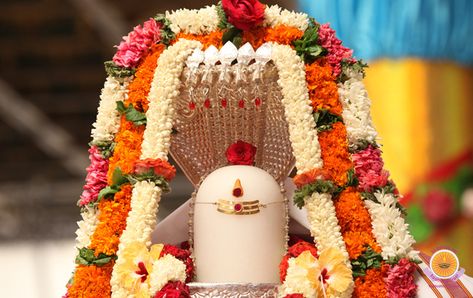 Karthika Masam Significance , Karthika Puranam Audios and More... Shivling Images, Karthika Masam, Puja Ghar, Thick Forest, Shiva Images, Maha Shivaratri, Maha Shivratri, Ganapati Decoration, Shree Krishna Wallpapers