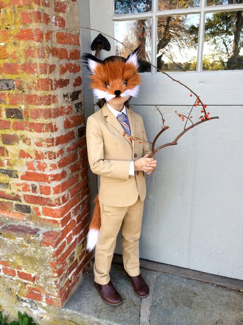 Kids fox costume