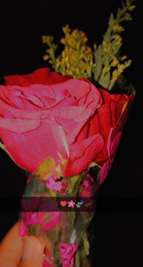 Rose Day Love Letter, Rose Day Snapchat Stories, Rose Day Snap, Happy Rose Day My Love, Rose Day Pic, Rose Snap, Eid Ul Fitr Decorations, Flowers Snap, Old School Love