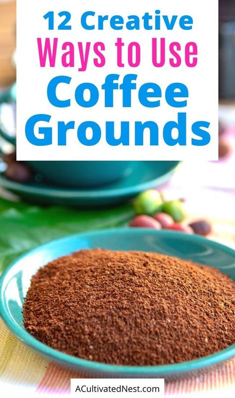 12 Creative Ways to Use Coffee Grounds- Instead of throwing them out, check out these creative ways to use coffee grounds! Coffee grounds can be so helpful in your home and garden! | what to do with coffee grounds, #upcycling #repurpose #moneySavingTips #coffee #ACultivatedNest What To Do With Coffee Grounds, Coffee Grounds For Plants, Frugal Hacks, Frugal Homemaking, Homemade Gift Idea, Clever Coffee, Coffee Grain, Living Frugal, Used Tea Bags