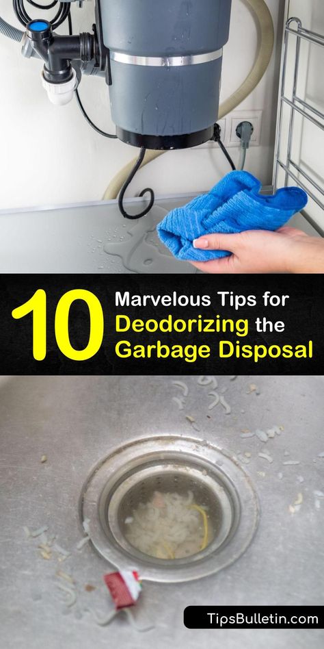 Trapped food waste or a faulty water heater or air conditioning system lead to a smelly garbage disposal. Drain cleaning with baking soda and white vinegar, or a rock salt and ice, and a cold water rinse removes food particles to get rid of the bad smell. #make #garbage #disposal #smell #better Garbage Disposal Cleaning Diy, Garbage Disposal Odor, Stinky Garbage Disposal, Cleaning Disposal, Garbage Disposal Cleaning, Garbage Disposal Cleaner, Disposal Cleaner, Diy Household Cleaners, Natural Cleaning Solutions