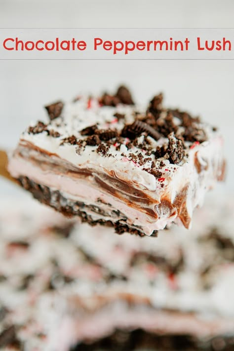 Creamy, delicious layers make this Chocolate Peppermint Lush the perfect no-bake, festive holiday dessert to enjoy with family and friends this season. via @cmpollak1 Peppermint Bars, Peppermint Lush Dessert, Chocolate Peppermint Lasagna, Chocolate Peppermint Trifle, Peppermint Mocha Dessert, Festive Holiday Desserts, Lush Recipes, Peppermint Recipes, Holiday Dessert Recipes