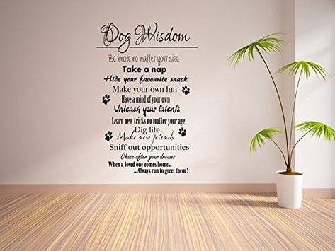 Dog Wisdom Wall Sticker Quote Vinyl Decal 55x100 G Direct... https://www.amazon.co.uk/dp/B01L99CCP6/ref=cm_sw_r_pi_dp_U_x_DzPuAbKCEBS0S Pet Grooming Business, Dog Grooming Shop, Dog Spa, Wall Stickers Quotes, Dog Grooming Salons, Fu Dog, Dog Salon, Grooming Shop, Dog Business