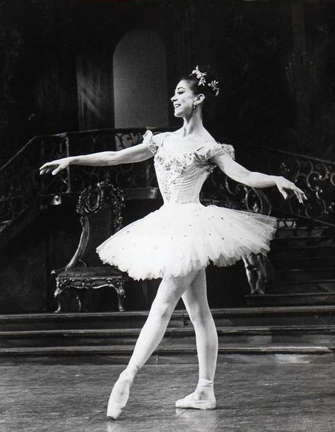 Margot Fonteyn Houston Ballet, Svetlana Zakharova, Ballet Images, Margot Fonteyn, Ballet Russe, Ballet Pictures, The Sleeping Beauty, Vintage Ballet, Ballet Beauty