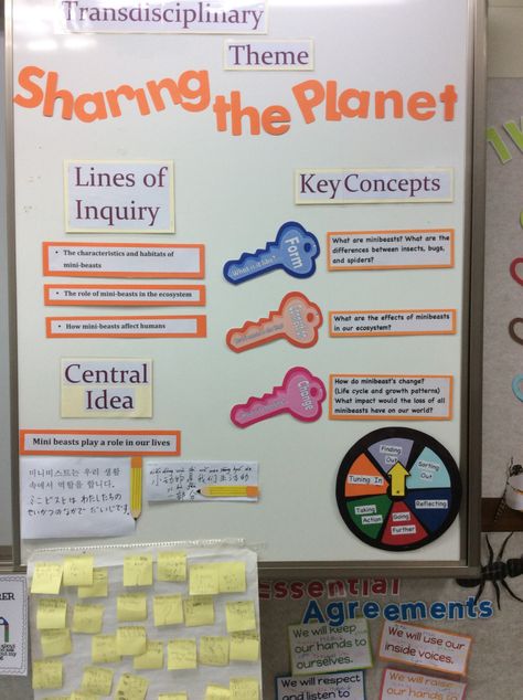 IMG_0128 Ib Bulletin Boards, Inquiry Classroom, Sharing The Planet, Inquiry Cycle, Ib Pyp Classroom, Pyp Classroom, Ib Classroom, Ib Learner Profile, Ideas For Kindergarten