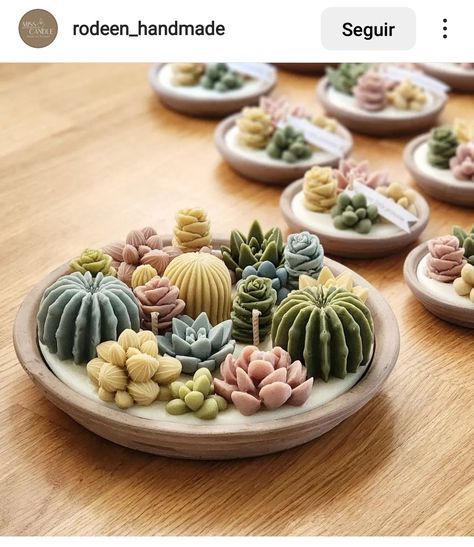 Trendy Candles, Succulent Candles, Fun Candles, Succulent Candle, Unusual Candles, Pretty Candles, Candle Making Recipes, Terrarium Candle, Fancy Candles