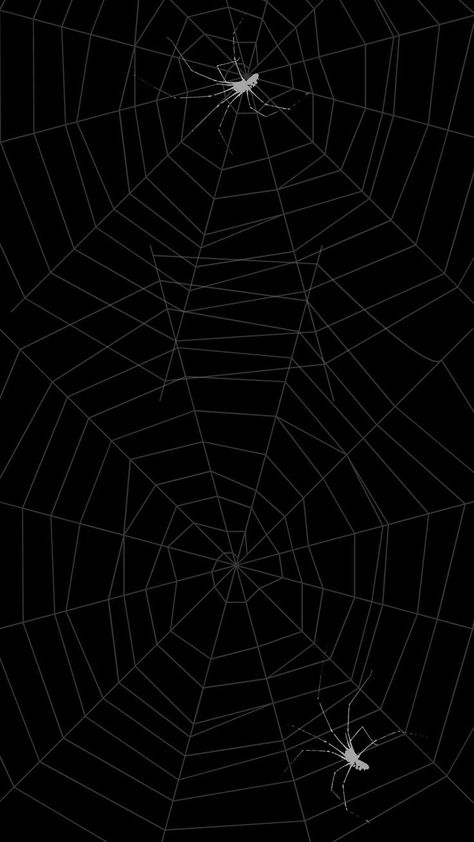 Spiderman Wallpaper Dark Theme, Black And White Spider Web Wallpaper, Y2k Spider Wallpaper, Halloween Wallpaper Spider Webs, Spiderweb Lockscreen, Dark Pattern Aesthetic, Black Spiderweb Wallpaper, Spiderman Wallpaper Black And White, Spiderweb Wallpaper Aesthetic